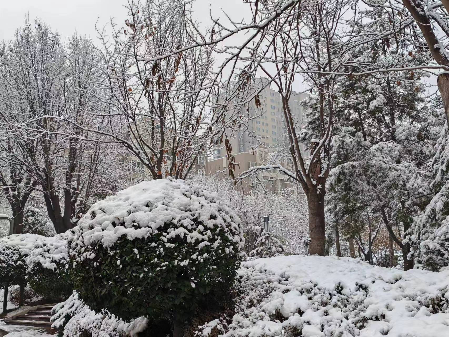 微信图片_20240117130841