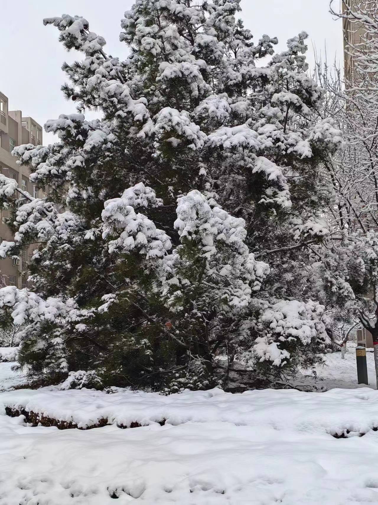 微信图片_20240117130847