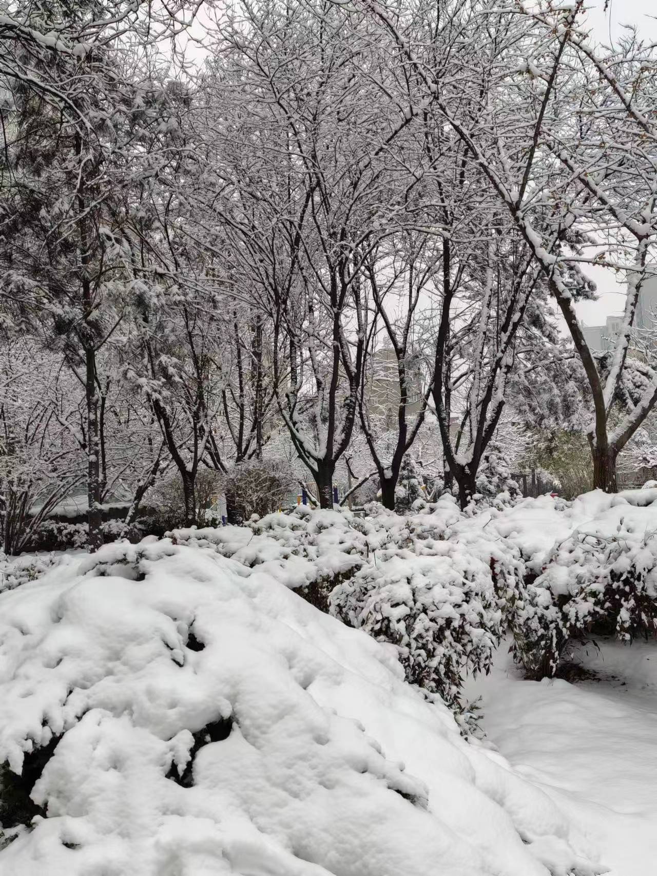 微信图片_20240117130832