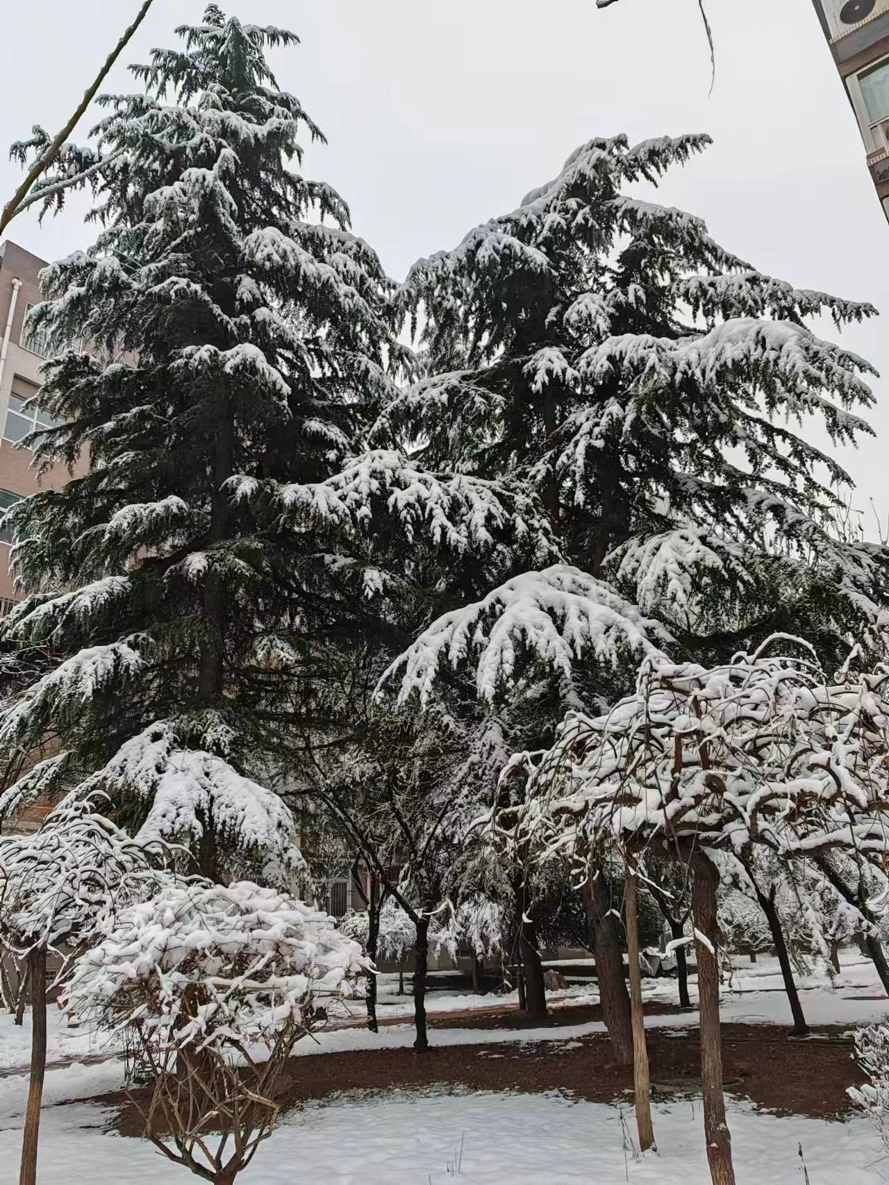 微信图片_20240117130826