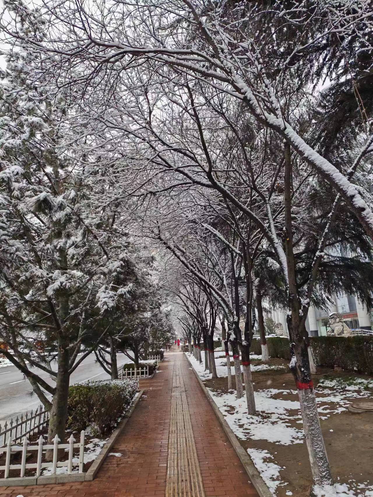 微信图片_20240117130821