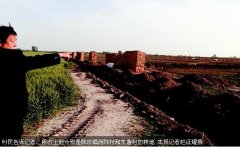 陕西蒲城违法征占400多亩耕地建工业园