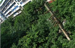  广安城市上空的“蜘蛛网”何时告别市民