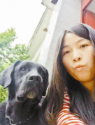 导盲犬在家门口被人装进车掳走 全国仅70只