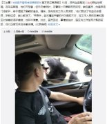  黑熊咬人监控公布：巡逻员赶走熊后游客继续投食
