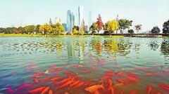 橘子洲景区重回国家5A级