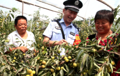 “中国枣乡”卫士情