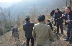 法官三上“马鞍山” 四调边界“案中案”