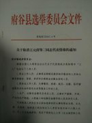 府谷三名县人大代表被取消资格:干部以工人身份当选